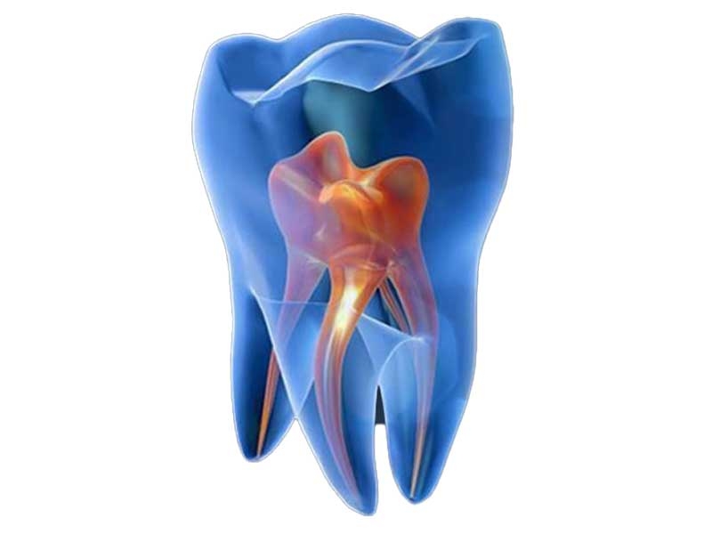 ProDentis & MS-Dental